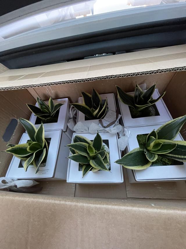 Paola Rolando Creazioni - 2