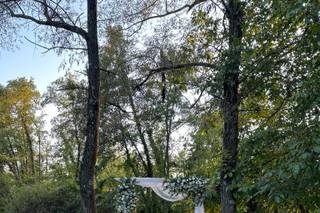 La Regina del Bosco - 7