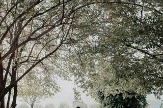 FaMiFaRe Live Experience - 4