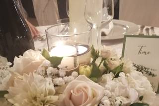 Piante e fiori Antonietta - 8