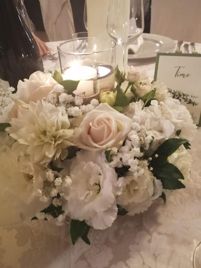 Piante e fiori Antonietta - 4