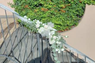 Piante e fiori Antonietta - 9