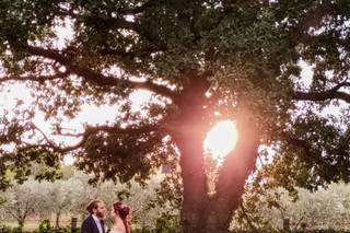 Podere La Branda BioAgriResort - 17