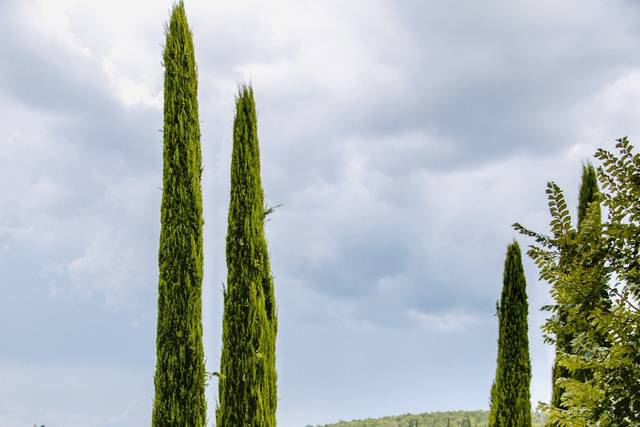 Agriturismo Belagaggio 5