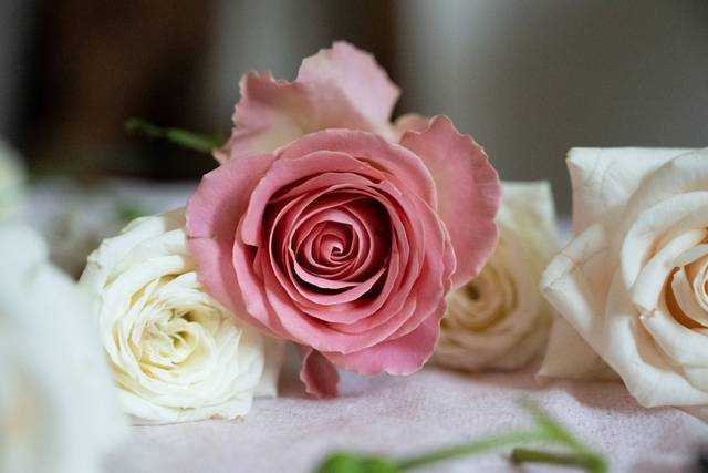 Sil Conti - Unconventional Wedding 4