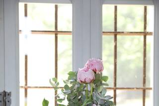 Petali di Rosa - 5