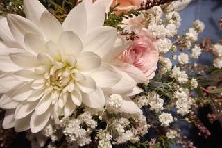 Wedding Creation - 5