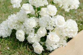 Garden Flowers - 25