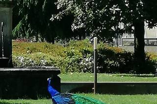 Borgo Necchi e la Club House - 7