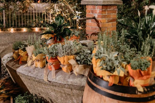 Volar...un fiore per te - 3