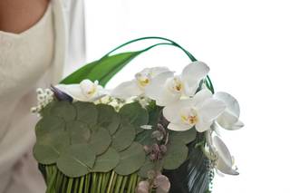 La Magnolia - 1