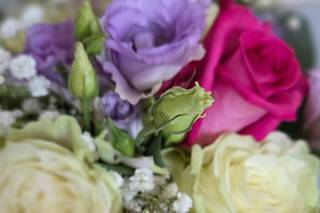 Bea Fiori - 6