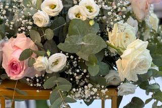 Eva Fiori e Piante - 10
