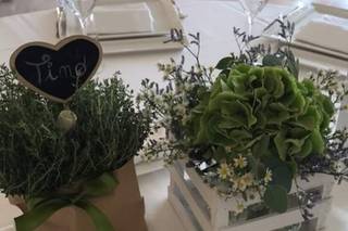 Blu garden Flower Designers - 6