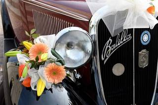 Fiore Corte Franca - 17