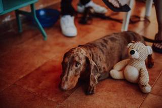 Galleria Bonadonna - 10