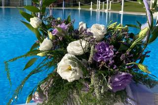 Fiorajò - Piante e Fiori - 9