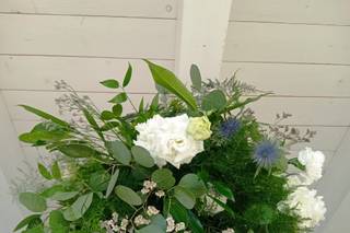 Fiorajò - Piante e Fiori - 10