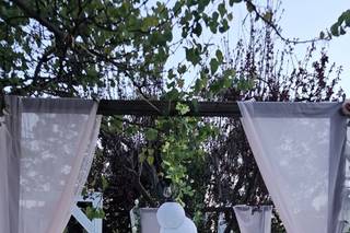 Maria Castagno Wedding and Events Planner - 7