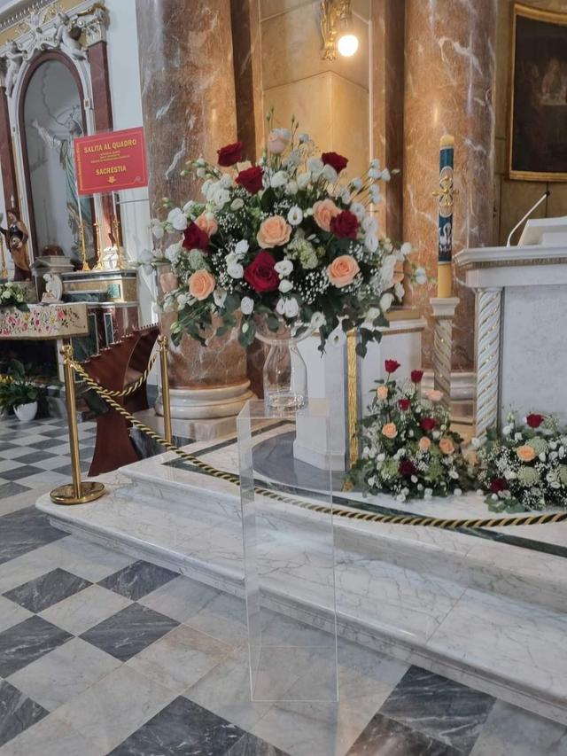 Piante e Fiori Cedro Giuseppa - 1