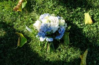 Lozza Fiori - 8