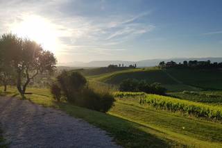 Agriturismo Musignano - 10