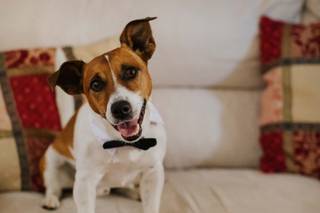 Sofia Balli wedding studio - 16