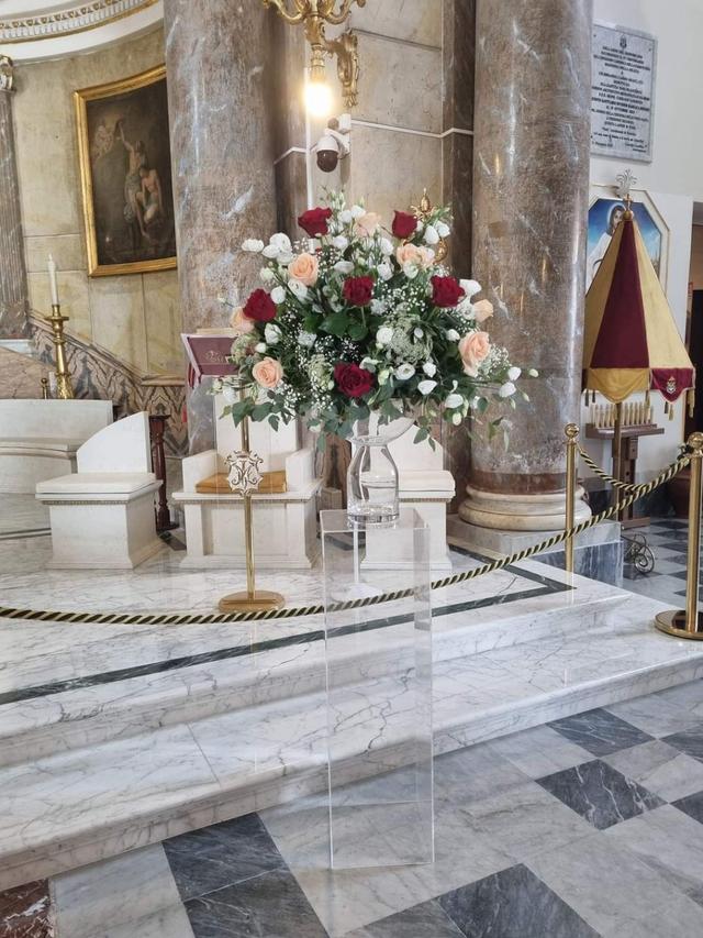 Piante e Fiori Cedro Giuseppa - 2