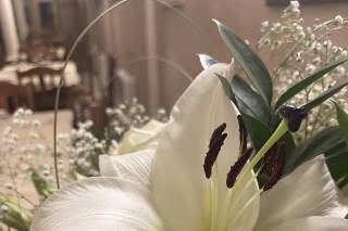 Art & Flowers - 5