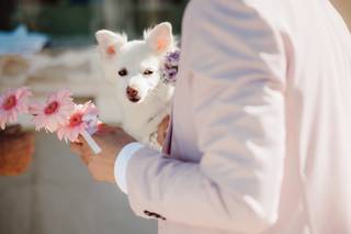 Renato Ioimo Photography - 11