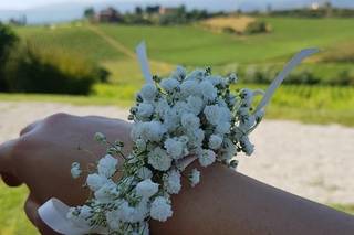 Agriturismo Musignano - 11