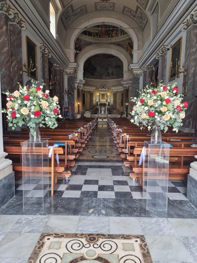 Piante e Fiori Cedro Giuseppa - 3