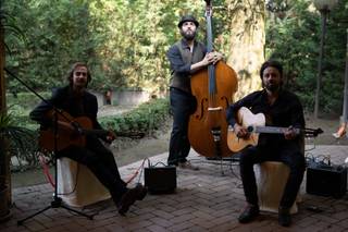 Django's fingers - 1