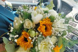 Mf Eventi Emozioni e Sapori - 11