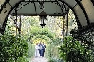 Jerry Reginato Photography - 8