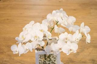 Fedrizzifoto - 11