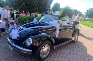 Maggiolino cabrio d’epoca - 6
