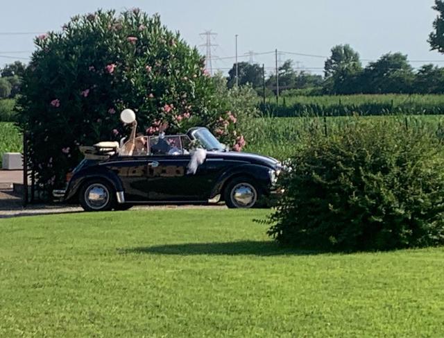 Maggiolino cabrio d’epoca - 4