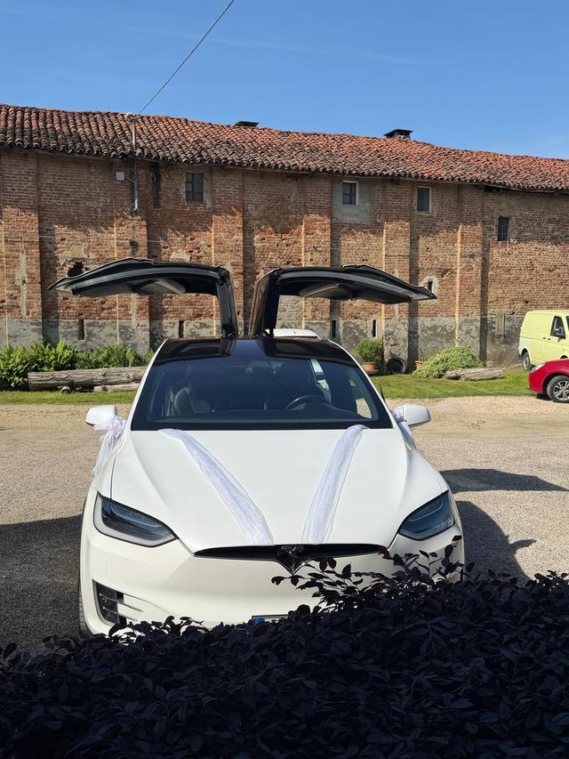 TeslaDream - 2