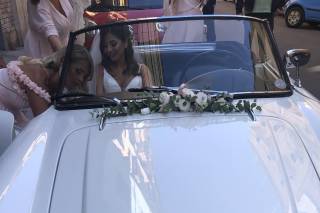 Casanatura Vivaio - 18