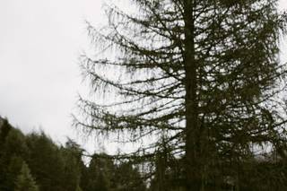 Il Baccello di Vaniglia - 8