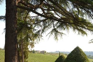 Almàz Tuscany Weddings & Events - 7