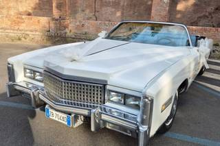 Cadillac Eldorado Eventi - 6
