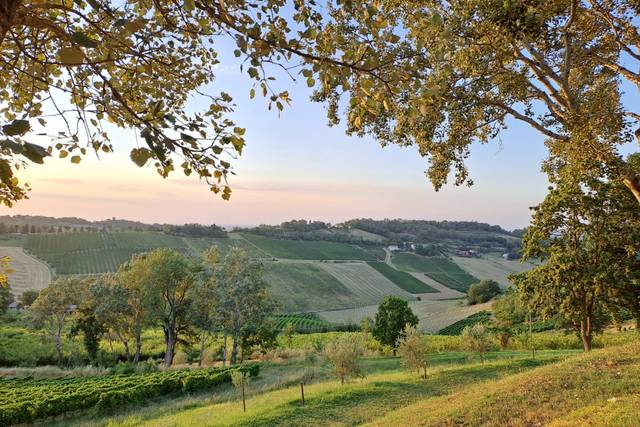 Podere La Berta 1