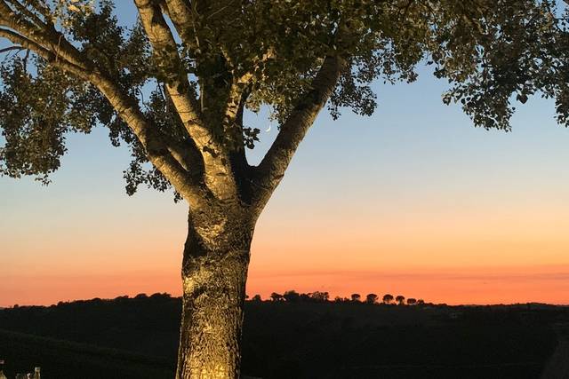 Podere La Berta 3