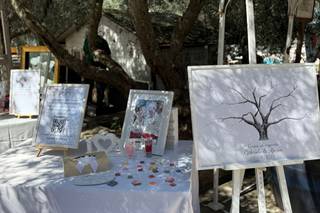 Agriturismo L'Accordo - 5