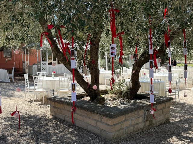 Agriturismo L'Accordo - 4