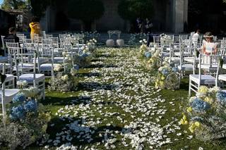 Architetto dei Fiori - 8