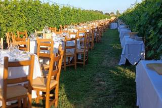 Agriturismo l'Ovile - 6