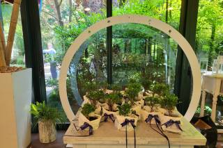 Voglia di Bonsai - 18